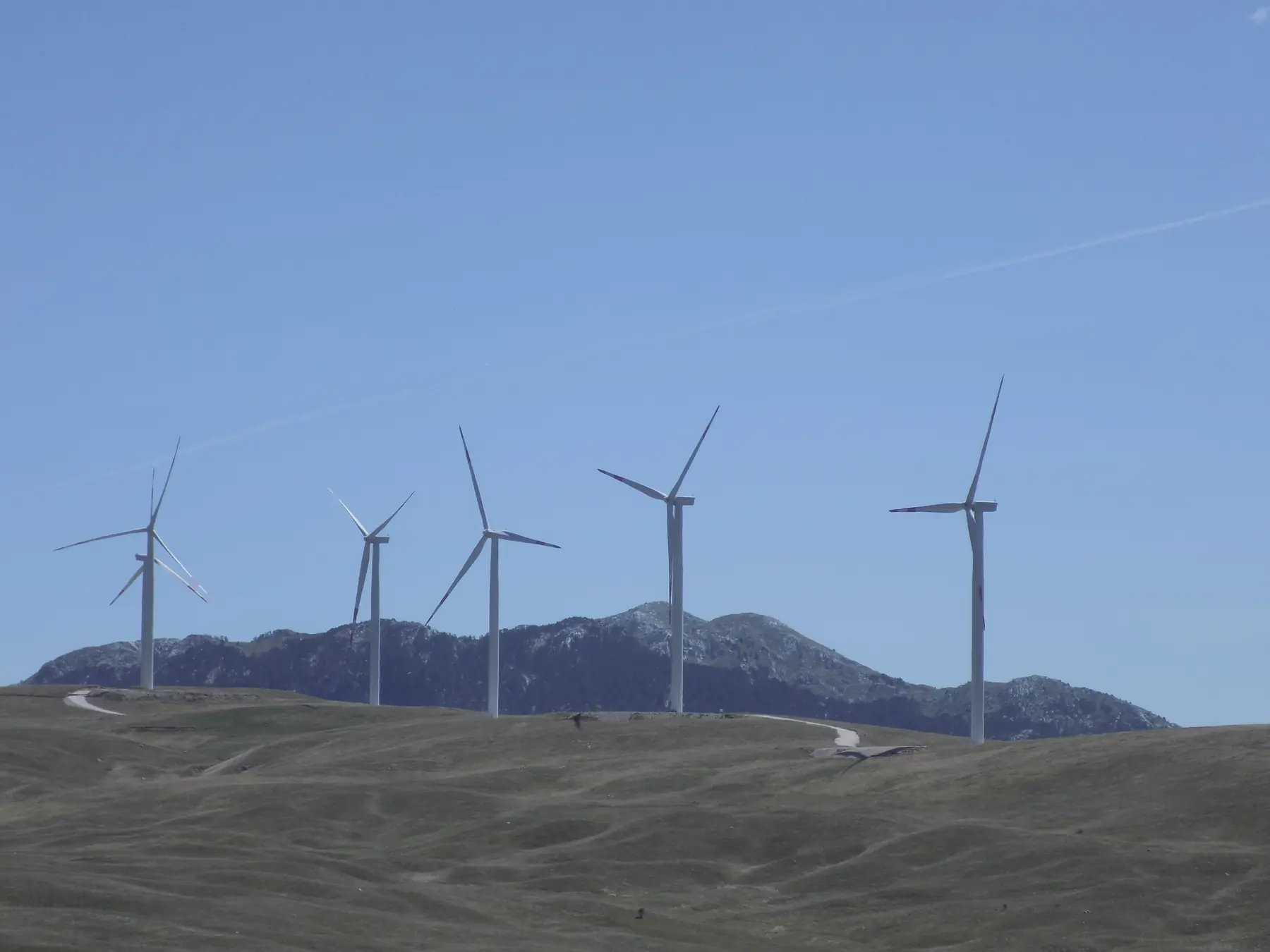 Wind turbines along a high mountain plateau with a ridge behind, Krnovo, Montenegro