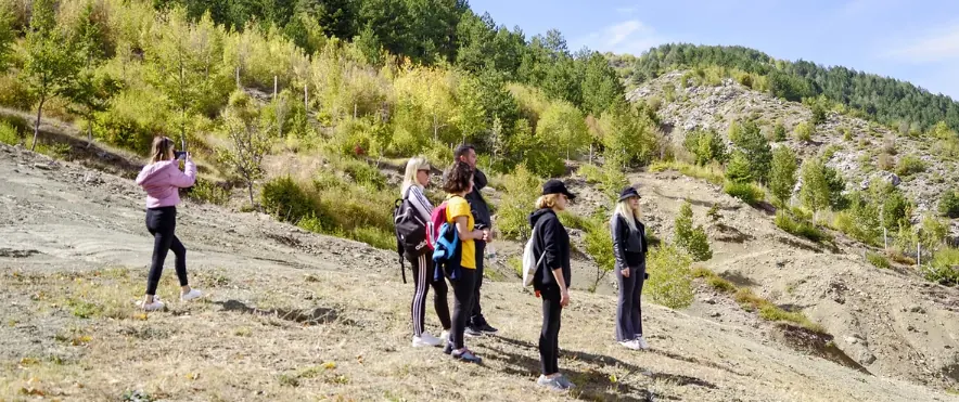 A field survey team on a hillside site visit
